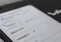 vivo怎么用开发者选项，vivo开发者选项在哪里打开