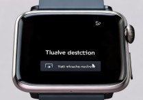 小米WatchS3有摔倒检测功能吗