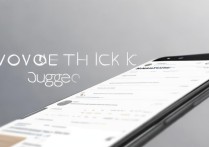 红米k70pro如何看流量使用情况