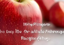 苹果拍照全景怎么拍，iPhone全景模式拍摄技巧教程