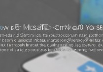 vivo x9怎么手动关闭后台进程不卡机？