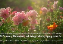 vivox27相机还原失败怎么办，vivox27相机恢复出厂设置方法