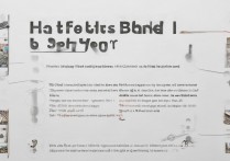 vivo手机怎么绑定？vivo手机绑定账号步骤详解