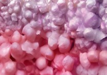 华为畅享6s像素表现如何？日常拍照够用吗？