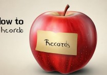 苹果怎么查记录？iPhone查看历史记录方法大全