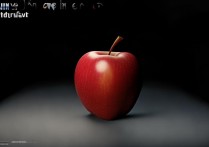 苹果信息闪光灯怎么开？iPhone开启闪光灯通知方法