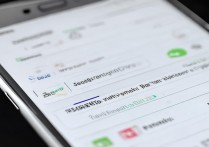 vivo怎么添加权限设置在哪里设置？vivo权限管理在哪里打开