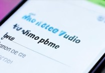 vivo手机音频怎么设置在哪里