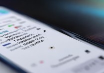 小米13 Pro浏览器禁止访问网站关闭方法？