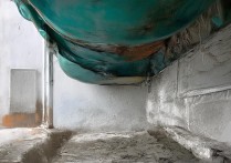 vivoy97怎么设置指纹解锁教程