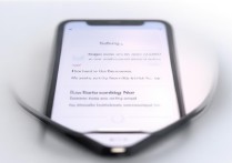 苹果7plus美颜怎么设置