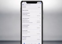 华为手机如何单独调整信息通知铃声？