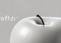 苹果手机文件藏哪？新手如何查看手机里的文件？