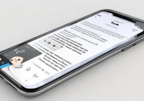 wlan 流量怎么用苹果 5s，苹果 5s 连接 wlan 上网流量设置方法