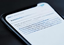 vivo手机安装屏幕助手下载东西怎么办