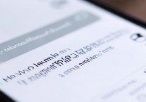 vivo手机双击屏幕变大怎么取消？设置里找不到了怎么办？