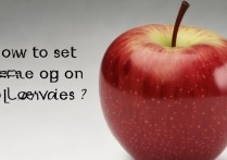 苹果怎么设置主题啊，苹果手机主题怎么换