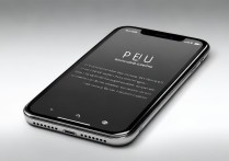 iphone进入dfu模式