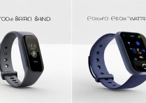 oppo手环和oppo watch怎么选