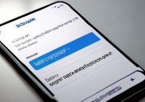 华为怎么关掉应用流量