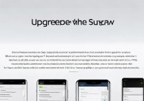 vivoy29 系统怎么升级？vivoy29 系统升级方法教程