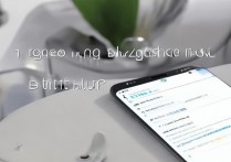 oppo手机权限管理在哪开？新手小白快速找入口教程