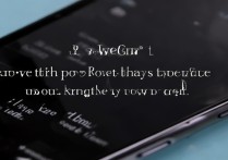 vivo手机私密空间怎么设置？详细步骤看这里！