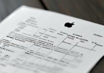 apple提供的收据