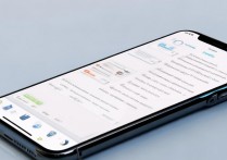 苹果浏览器手机模式怎么设置在哪里？Safari开发者模式开启教程