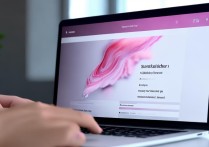 堆糖app怎么设置壁纸？详细步骤教程来了！