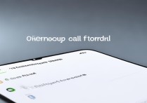 oppo 手机的应用权限怎么设置？