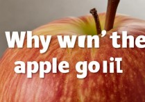 苹果打不进去怎么回事啊，苹果无法开机是什么原因