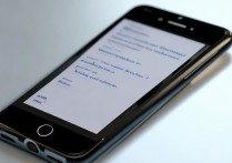 我的苹果6s怎么没声音是怎么回事