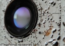 苹果手机镜头脏了怎么办？如何正确清理手机镜头