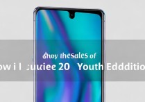 华为荣耀20青春版销量怎么样