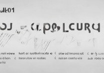 华为new-al10怎么强制格机不丢失数据？