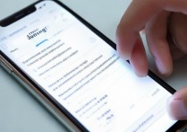 vivo手机怎么看屏幕分辨率？设置里找显示或关于手机查参数。