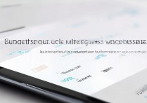 vivo手机怎么开启miracast投屏没信号怎么办？