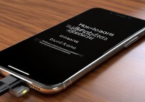 苹果手机没电后黑屏怎么充电也开不了机