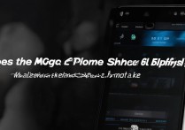 红魔游戏手机6SPro支持肩键吗？实际体验如何？