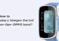 oppo手环锁屏图片怎么换？自定义图案步骤是什么？