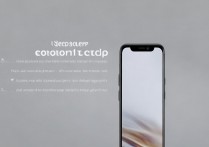 vivox9怎么测屏，vivox9屏幕检测方法