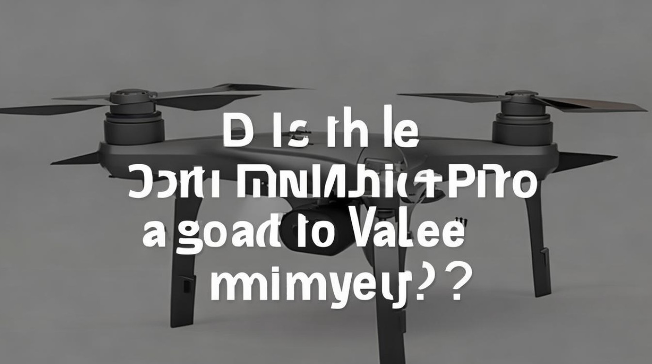大疆 Mini 4 Pro 性价比高吗？
