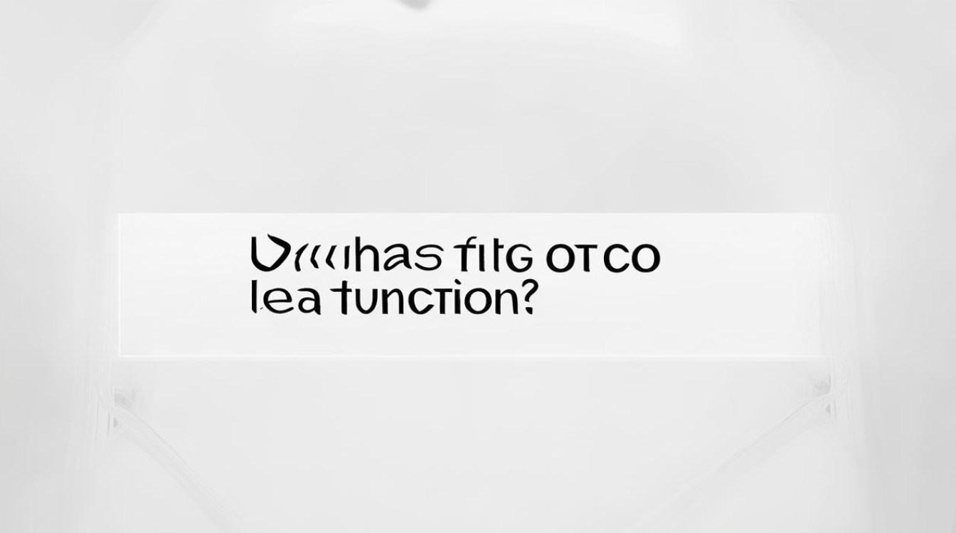 vivo有otg功能吗