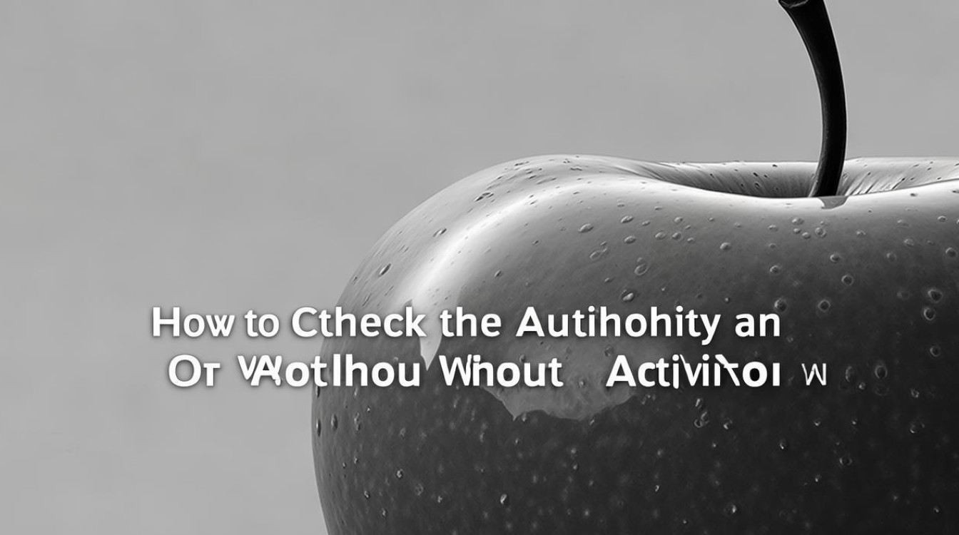 苹果不激活怎么查真假