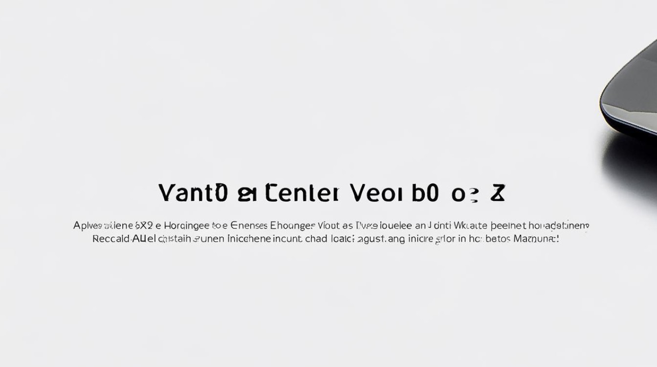 vivox9开机怎么没中文