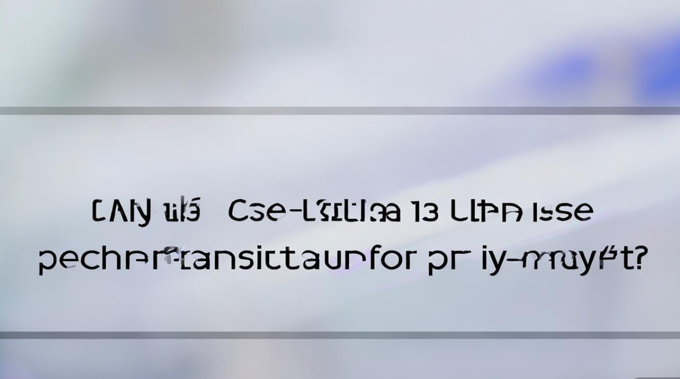 小米13 Ultra能用3D面容支付吗