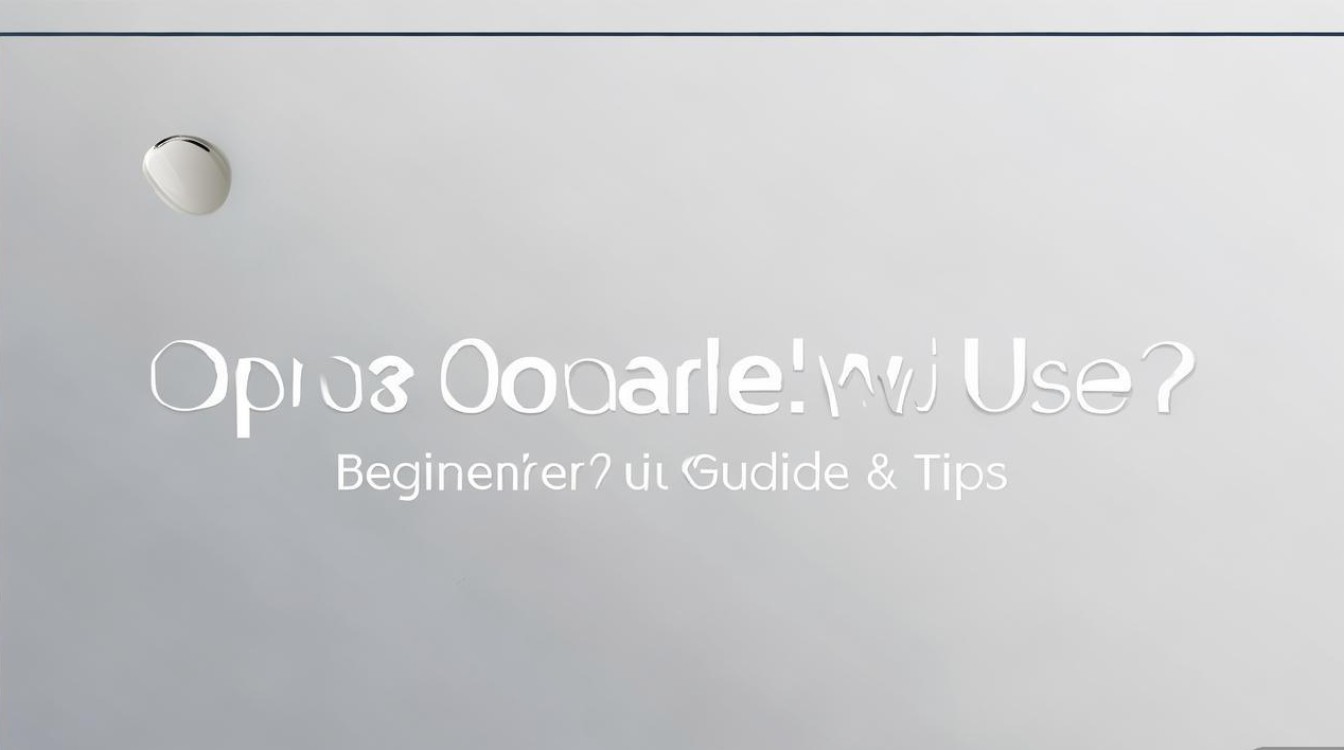 oppo双清怎么用？新手必看操作步骤及注意事项