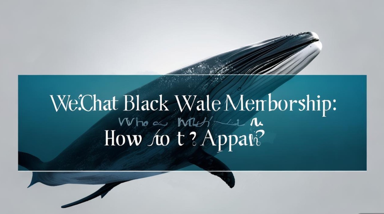 微信黑鲸会员是什么？怎么申请开通？