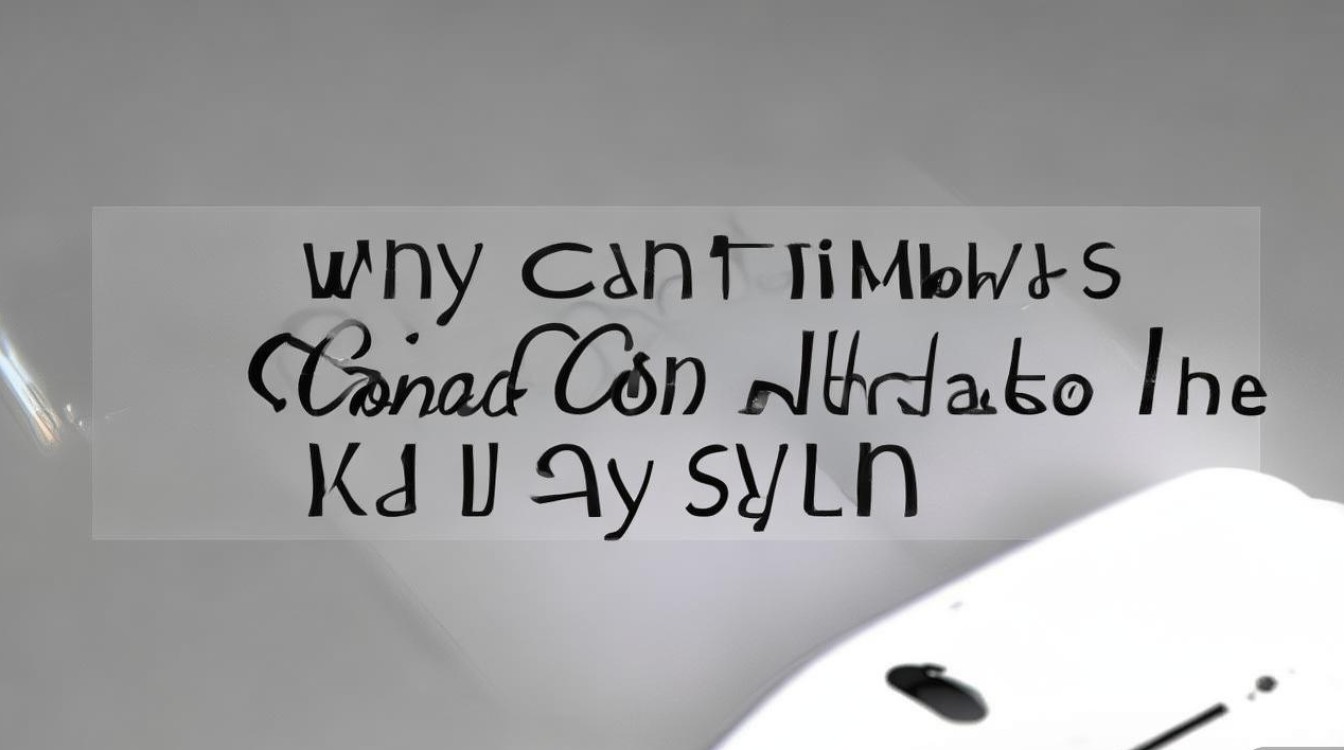 苹果6S为何无法连接使用起亚UVO系统?